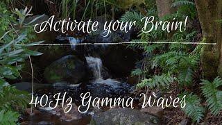 ACTIVATE your BRAIN | 40Hz Gamma Brain frequencies with relaxing ambient nature sounds