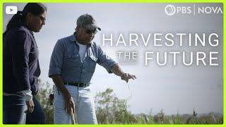 Harvesting the Future | Legacy of the Land | NOVA | PBS