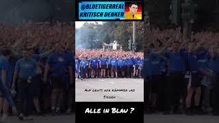 Alle in Blau! 