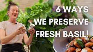 Fresh basil storing techniques that will store up to 1 year!