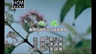 蔡小虎-心疼(官方KTV版)