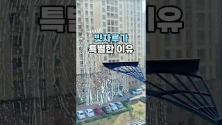 만능 빗자루가 특별한 이유 #살림템 #청소도구