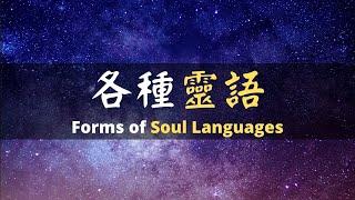 [ENG SUB] EP3 Forms of Soul Languages | 第三集 各種靈語