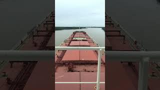 SHIP TRANSITING THROUGH PARANA RIVER | NAVIGATION IN RIVER #shorts #sailing #merchantnavy #vlog