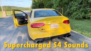 ECS Valved Exhaust clips w/ Supercharged Audi S4