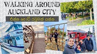 Auckland City එකේ රවුමක් යමු - 1 | Dockline Tram~Silo Park~Night Market~Wynyard Quarter