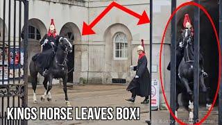 KING’S HORSE LEAVES BOX AND WON’T ENTER BOX AGAIN | Horse Guard, Royal Guards, Kings Guards!