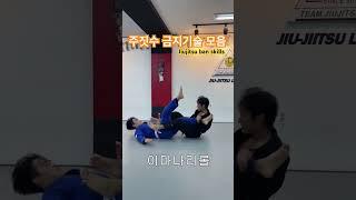 주짓수 금지기술들 모음/jiujitsu ban skills