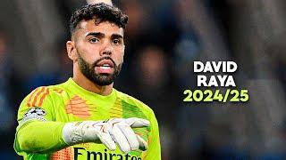 David Raya 2024/25 - Complete Goalkeeper | Crazy Saves | HD