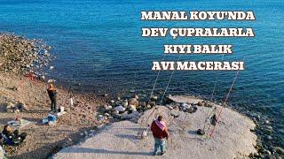 KARABURUN MANAL KOYU'NDA ÇUPRA AVI 