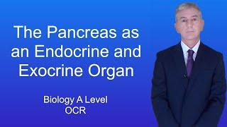 A Level Biology Revision (Year 13) "The Pancreas as an Endocrine and Exocrine Organ"