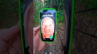 NIKPIG Found JOHN PORK iphone IN OHIO