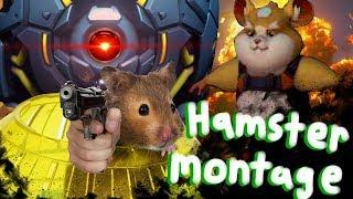 Overwatch- Hammond Montage