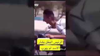 الرئيس البطل بشار الاسد لم يهرب #اكسبلور #تيكتوك #السعودية #ضحك #انستقرام #سناب #سنابي #شورت #شورتس