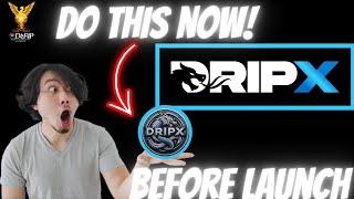 Drip Network How to get into DripX at Launch Do this now