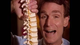Bill Nye The Science Guy - S02E08 - Bones And Muscles - 480p