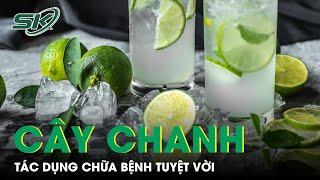 Tác Dụng Chữa Bệnh Của Cây Chanh | SKĐS