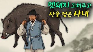멧돼지 고쳐주고 산을 얻은 사내 이야기