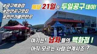 [두일공구]매달 21일날 두일공구에서 공구사면 사은품까지? 그냥갈순없잖아~