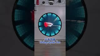 3D Holographic Fan: Discover the Magic #3D #ledfan #leddisplay #holographic #advertising #fyp