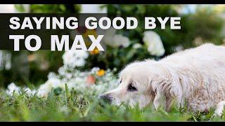 SAYING GOOD BYE TO MY DOG MAX / SHAWN WELLING