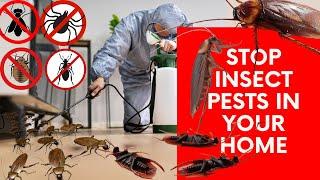 INSECT PESTS - get rid of Carpet moth & beetle, BEDBUGS, Ants, FLEAS, Cockroaches, MITES & SPIDERS