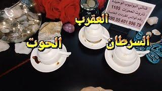 فنجان برج السرطان،العقرب،الحوت قراءة تفصيلية طاقة زمنية مفتوحه الابراج المائية️بشرةخيروأهم التوقعات