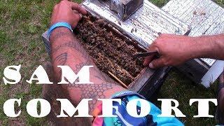 Queen Rearing Anarchy Style with Sam Comfort - 2019 Alternative Beekeepers Conference