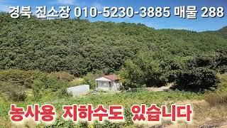 매물 288#경북 진소장 #의성 부동산 #군위부동산 #안동부동산  #경북 부동산 #의성 토지 매매 #진소장 부동산 #군위 땅 매매 #과수원 매매 #촌집 매매 #영천 부동산