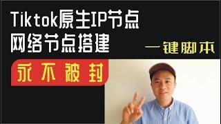 Tiktok原生IP节点，网络节点搭建，翻墙完美隐藏，naiveproxy搭建科学上网，号称永不被封，让你的VPS不再被墙，V2ray可用，VPS搭建科学上网节点，域名注册、解析、托管Cloudfla