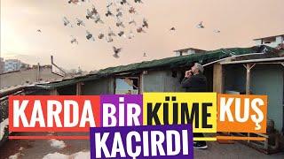 KUŞ SEVGİSİ MESAFE VE KAR KIŞ DİNLEMİYOR