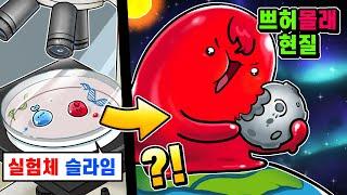 실험체 슬라임이 된 태쁘?! 이것저것 먹고 몸집을 키워 지구정복하기!! 그리고.. 쁘허 몰래 현질 하기ㅋㅋ (로블록스)