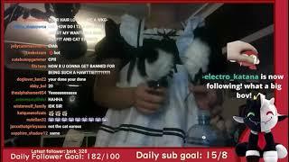 Redvelvety puts on cat ears + maid dress on stream