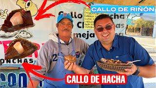 Diferencia entre callo de riñon y callo de hacha explicado por un Marisquero en Bahia de Kino