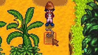 Stardew Valley :: Find Snake Vertebrae Easily! (by Reloading Your Save)