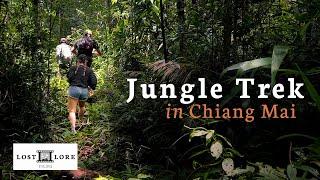 Chiang Mai Jungle Trek to Visit a Karen Hilltribe   Doi Inthanon National Park, Thailand