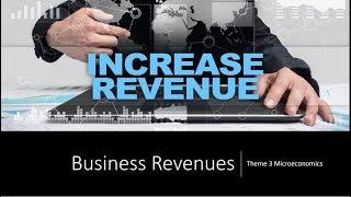 Business Revenues Explained