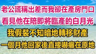 老公謊稱出差而我卻在產房門口，看見他在陪即將臨產的白月光，我假裝不知暗地轉移財產，一個月他回家後，直接嚇癱在原地#情感故事 #生活經驗 #為人處世 #情感 #家庭故事