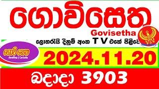 Govisetha 3903 2024.11.20 Today nlb Lottery Result අද ගොවිසෙත දිනුම් ප්‍රතිඵල  Lotherai dinum anka