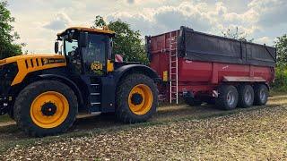 JCB Fastrac | Let's Drive | Krampe Big Body 900 | 1. Schnitt | Köhl Harvest