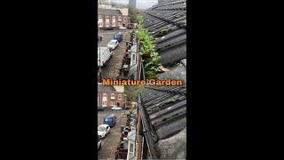 Miniature Garden | Have you seen this much plants in a gutter?  - Short 