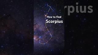 Find Scorpius the Scorpion Constellation in the night sky #shorts #learnthesky #scorpius #stargazing