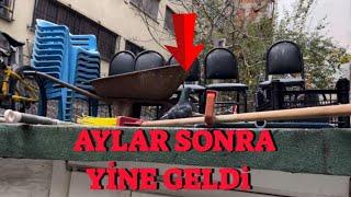 Yakaladığım Kaçak Güvercin Aylar Sonra Yine Geldi ( Kümesi Unutmamış )