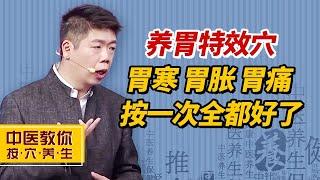 养胃特效穴，胃寒、胃胀、胃痛，再也不会找上你【中医教你按穴养生】