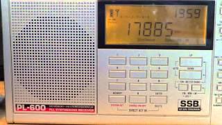 Tecsun PL 600 vs Degen DE 1103 17885