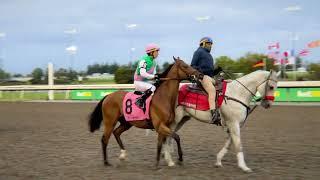 Gulfstream Park Replay Show | December 27, 2024