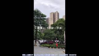 大陸樓市：大湾区中山楼市崩盘啦