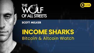 Scott Melker And Income Sharks Talk Markets, Charts And Trades