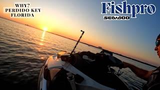 Thrilling Adventure on the Fishpro and Yamaha SVHO Exploring Perdido Key