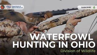 Waterfowl Hunting in Ohio